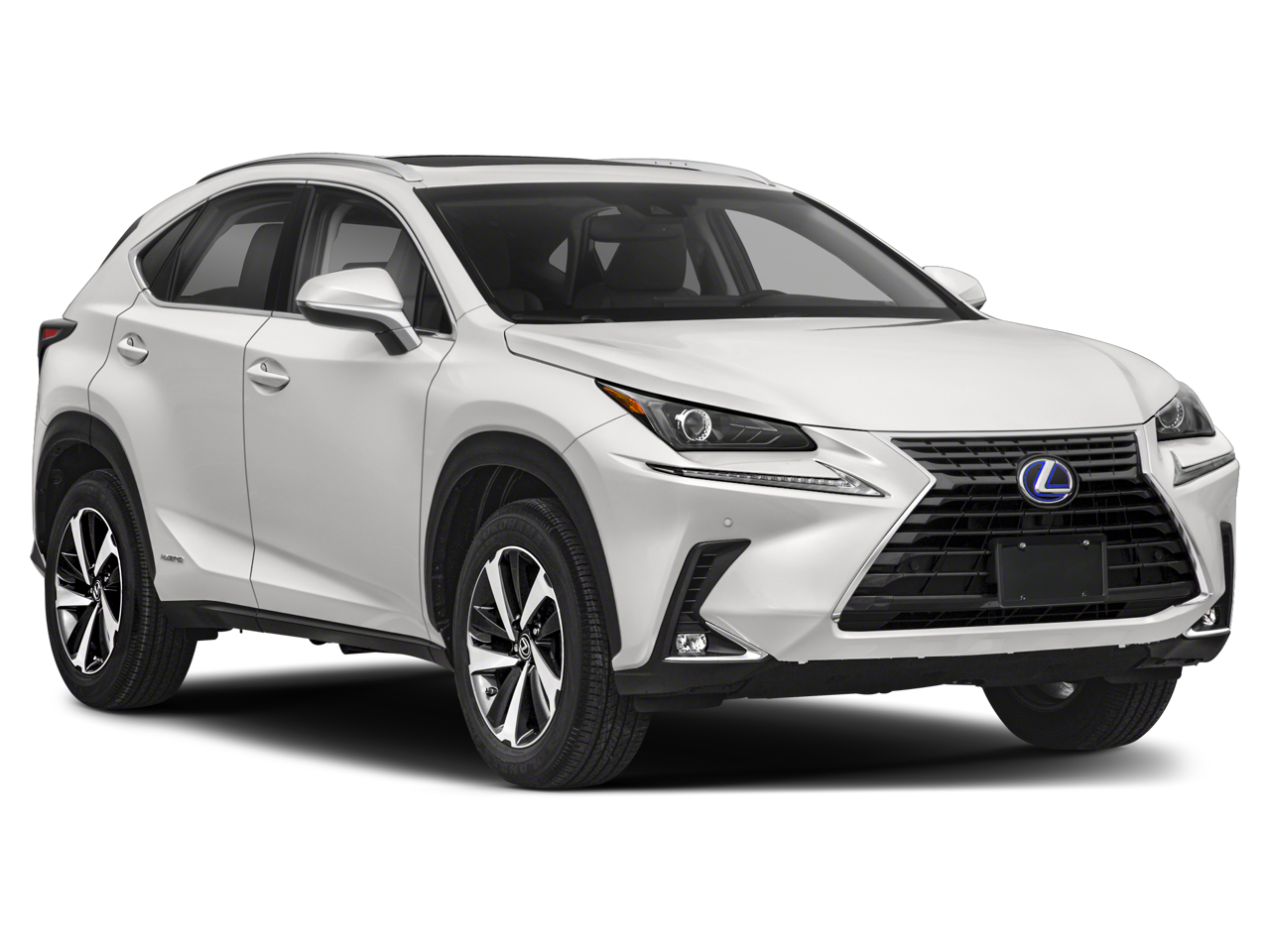2019 Lexus NX 300h