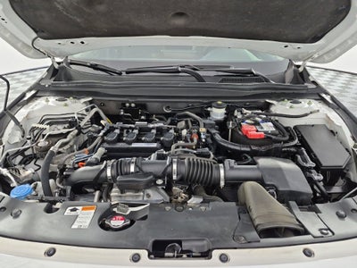 2019 Honda Accord Sedan EX-L 1.5T