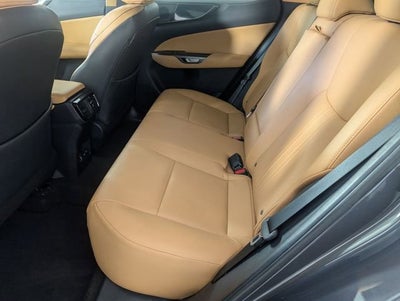 2024 Lexus NX 250 NX 250